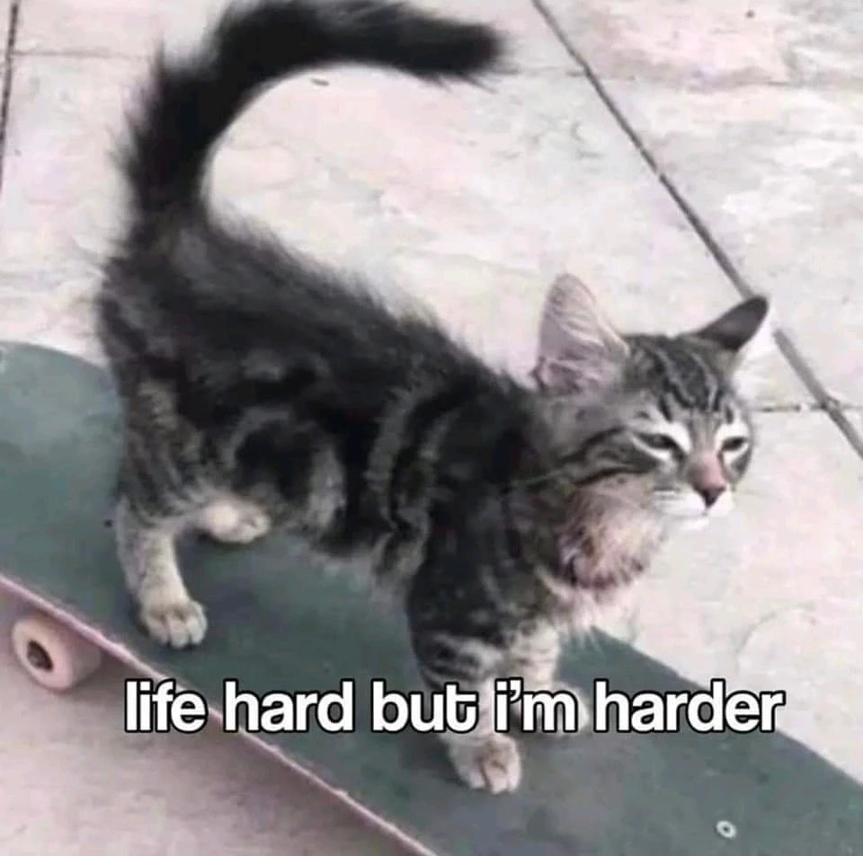 Obrázek nahrál Já