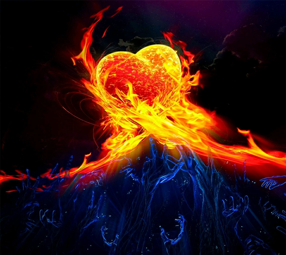 Image ajoutée par Valentin