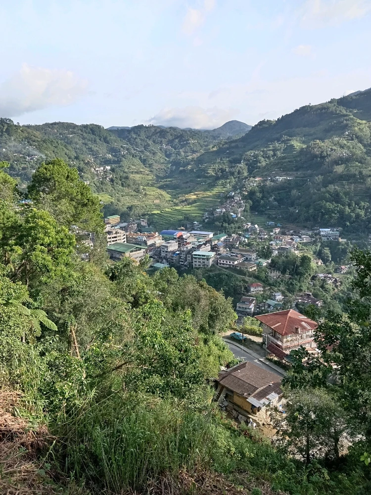 Gambar diunggah dening Art