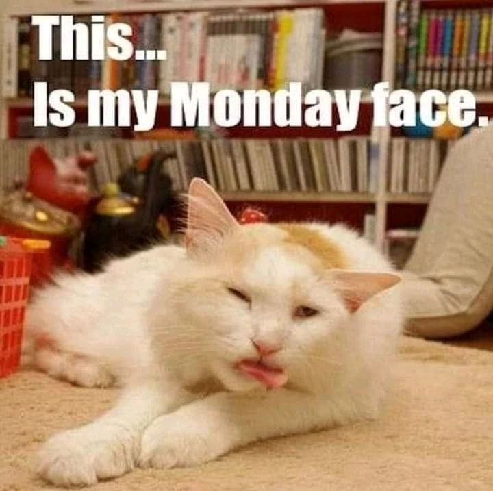 Image uploaded by ππ΅ππΌπΌπͺ