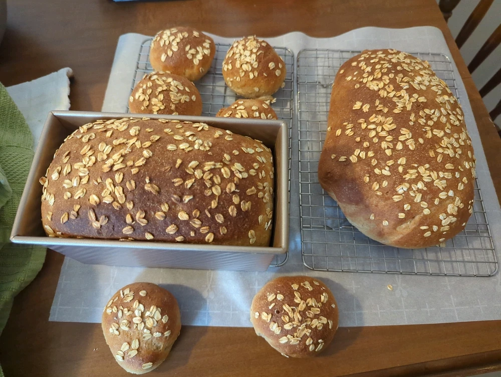 Oatmeal bread, two full loaves and six rolls
