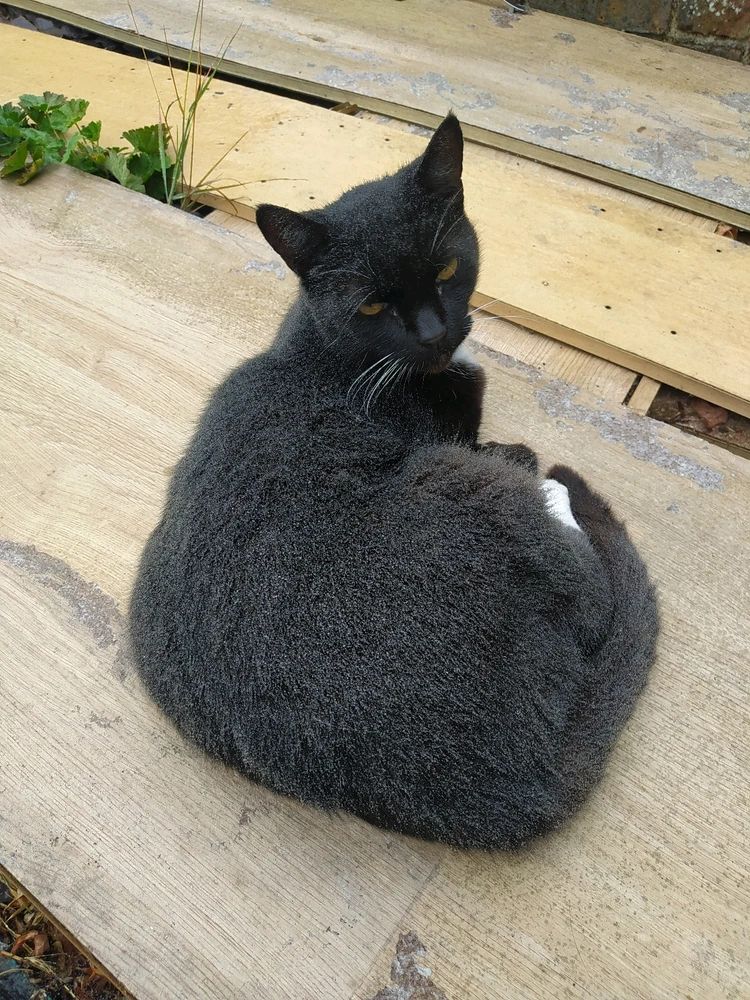 Íomhá uaslódáilte ag Tom