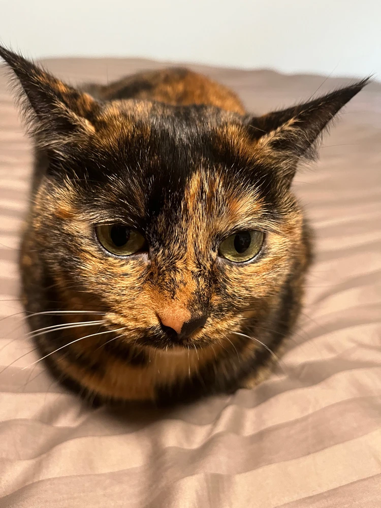 Image uploaded by Noah