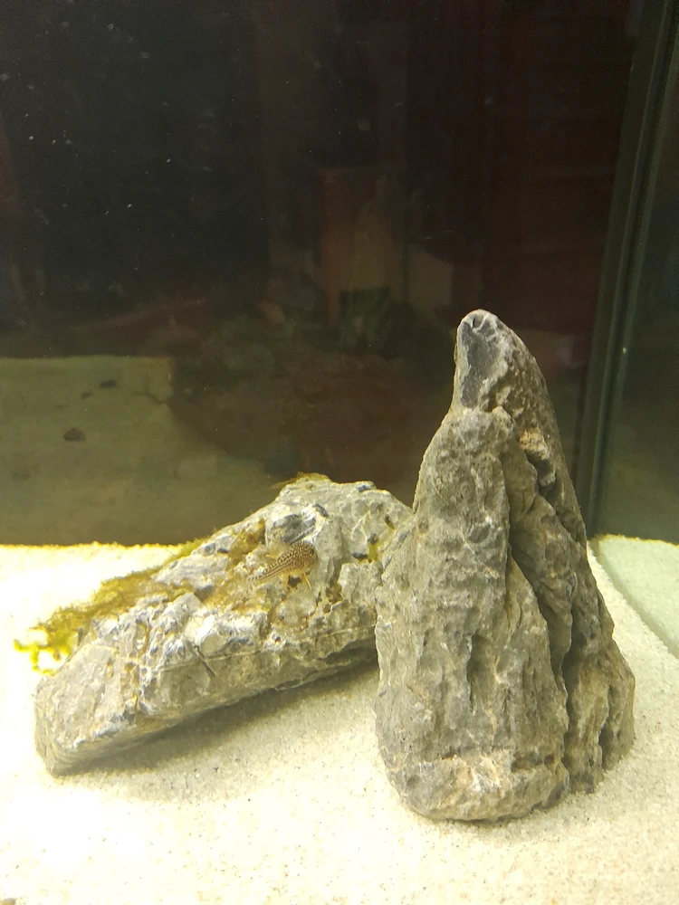 Immagine caricata da Riccardo