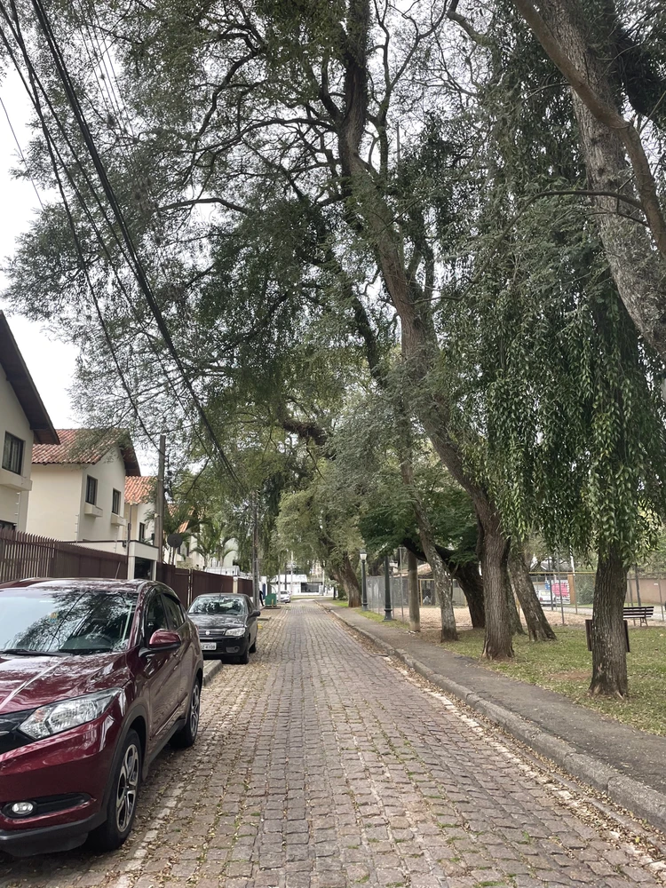 Imagem enviada por Mariana