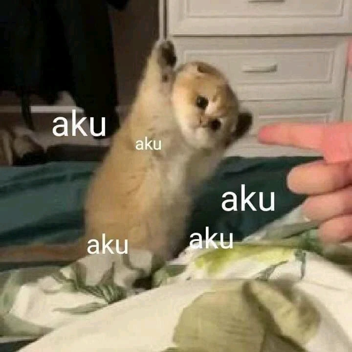 Gambar diunggah oleh Yong