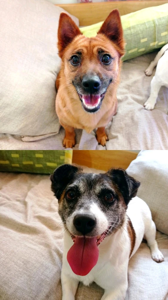 Immagine caricata da iolanda