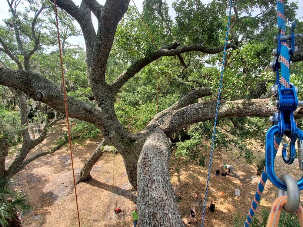 Image uploaded by DangerLurksHere