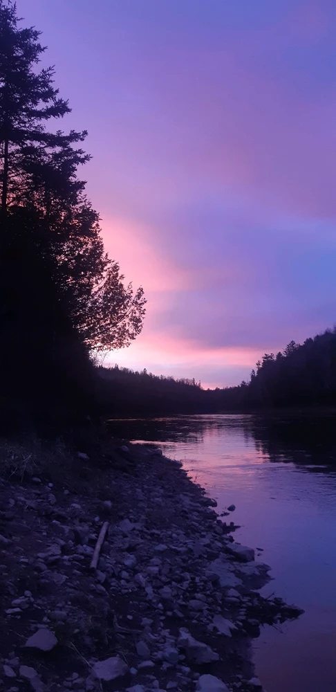 An image of a purple hued sunset over a forested river with darker, shadowy trees on the sides of the riverbank
