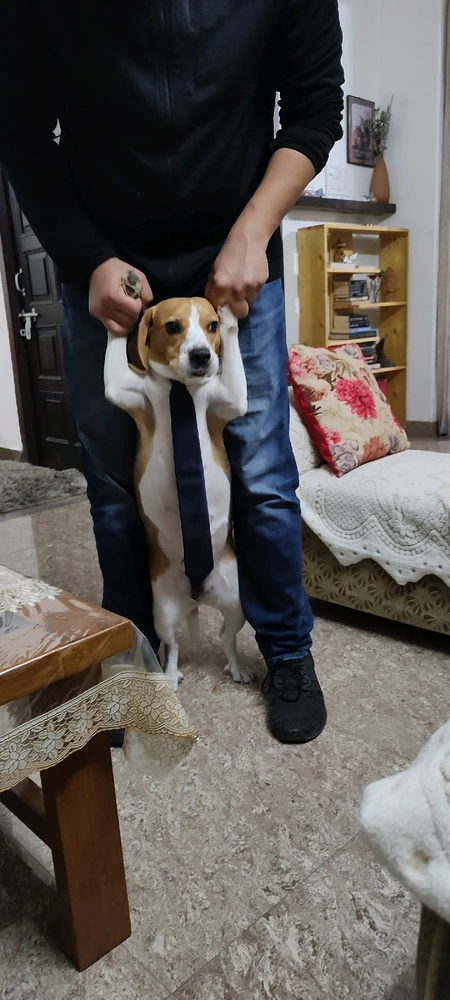 Gambar diunggah dening Sahil Nain