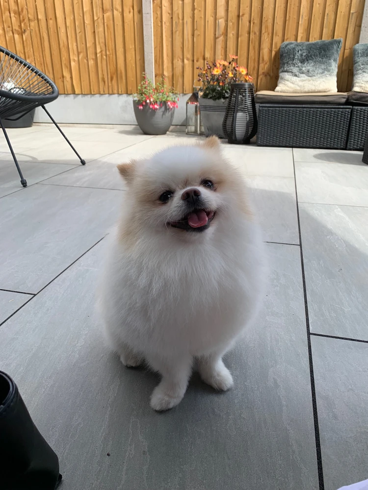 Ellie tərəfindən yüklənən şəkil