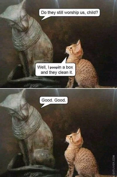 Image uploaded by Marvie