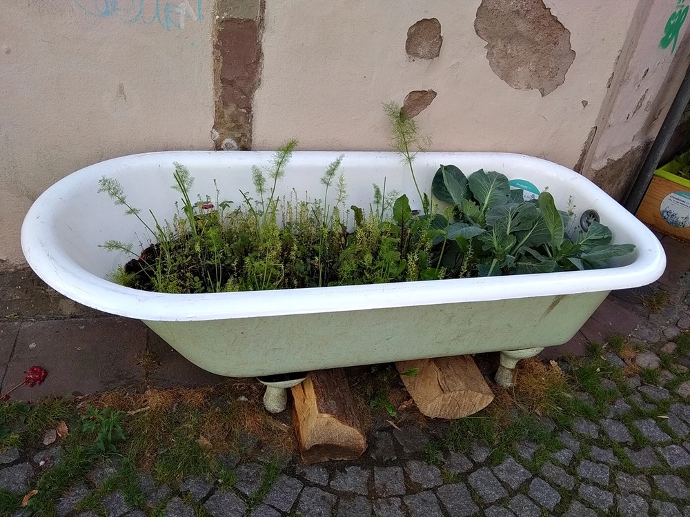 Image ajoutée par Katja