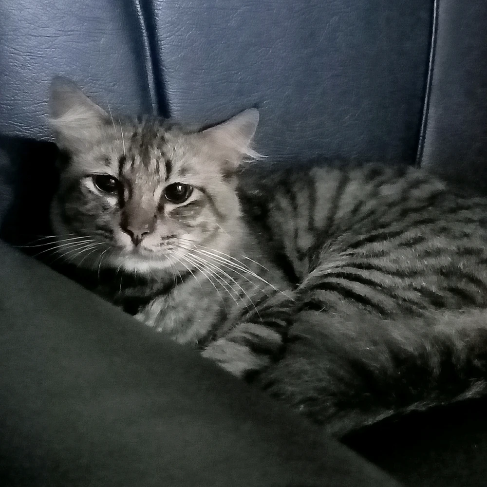 I-upload ni Van ang larawan