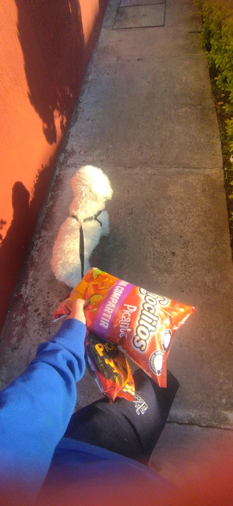 ¿Que andan haciendo en este momento??