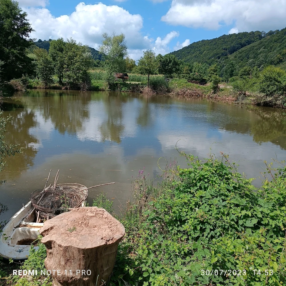 Gambar diunggah dening Engin