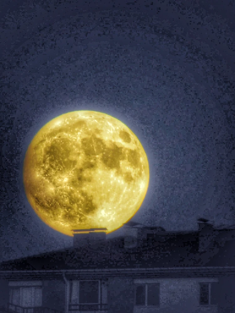 Alp tarafından yüklenen görsel