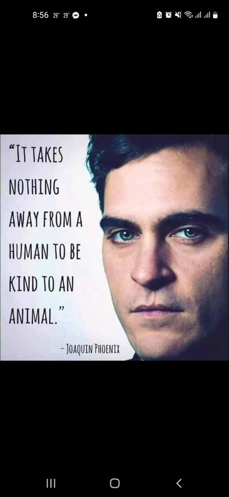 Image uploaded by Red