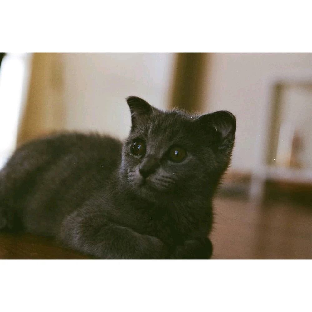 Batuhan tarafından yüklenen görsel