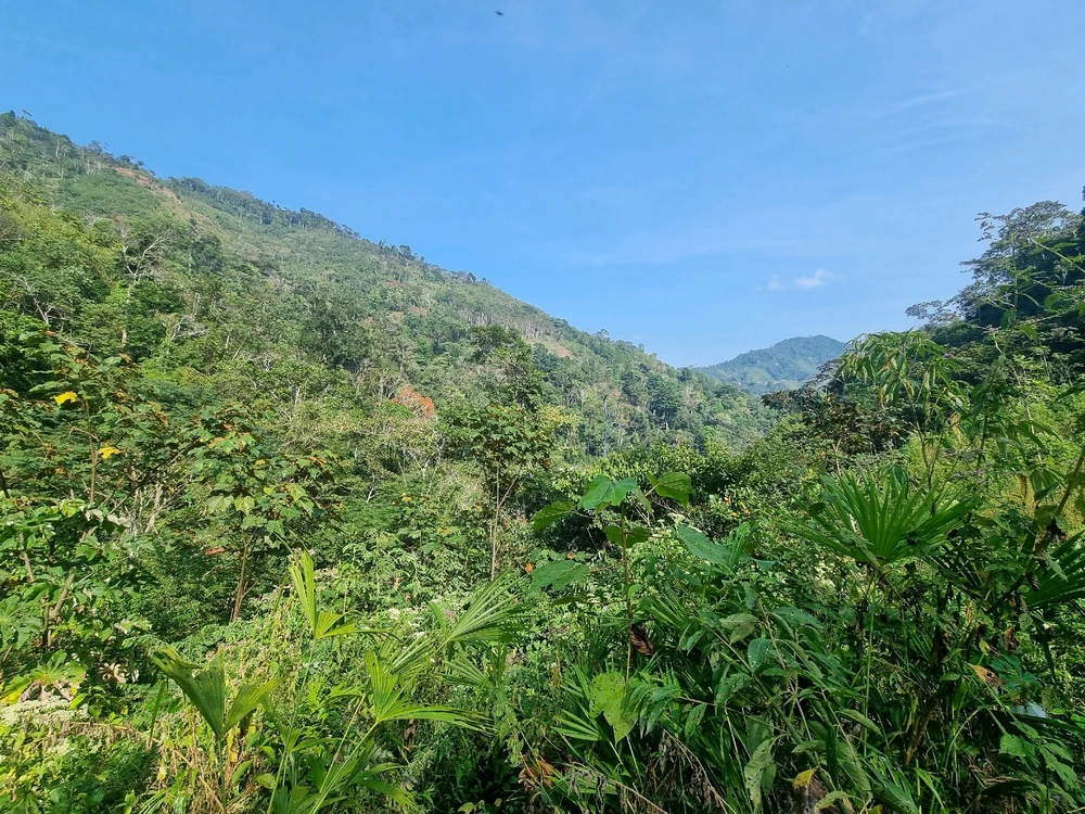 Image uploaded by Alonso