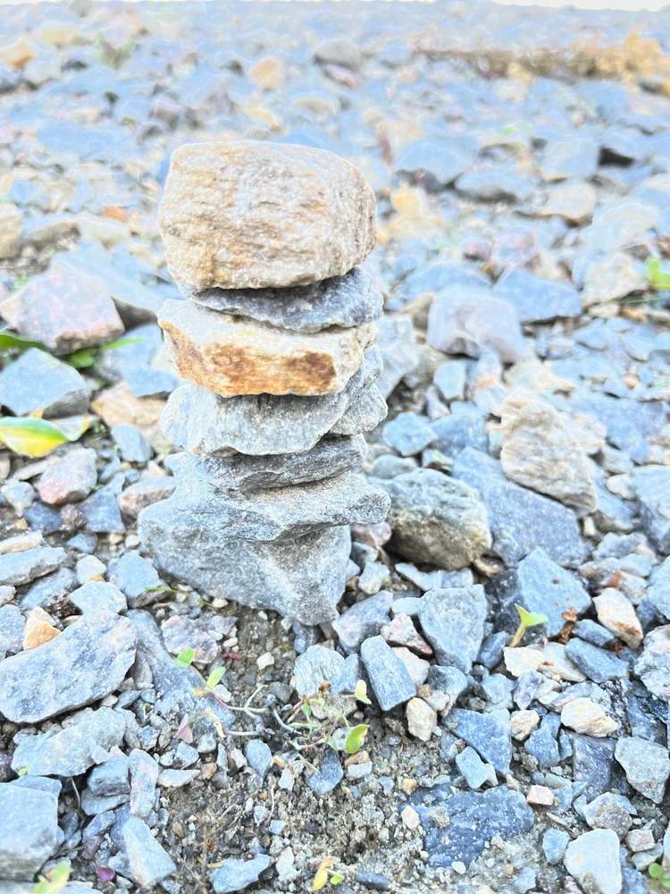 Image ajoutée par Hgc