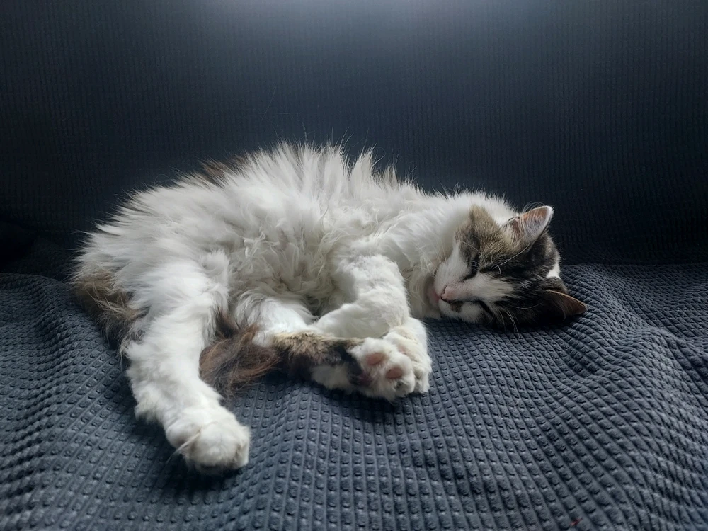 Image ajoutée par Bonhomme