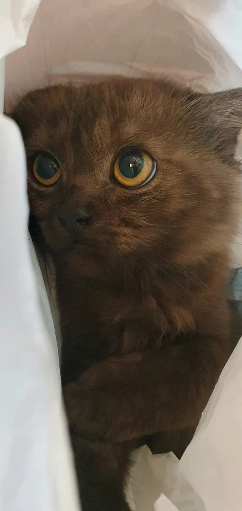 Image uploaded by Senja