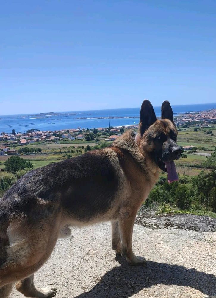 Imagen subida por Jhoan hurtado