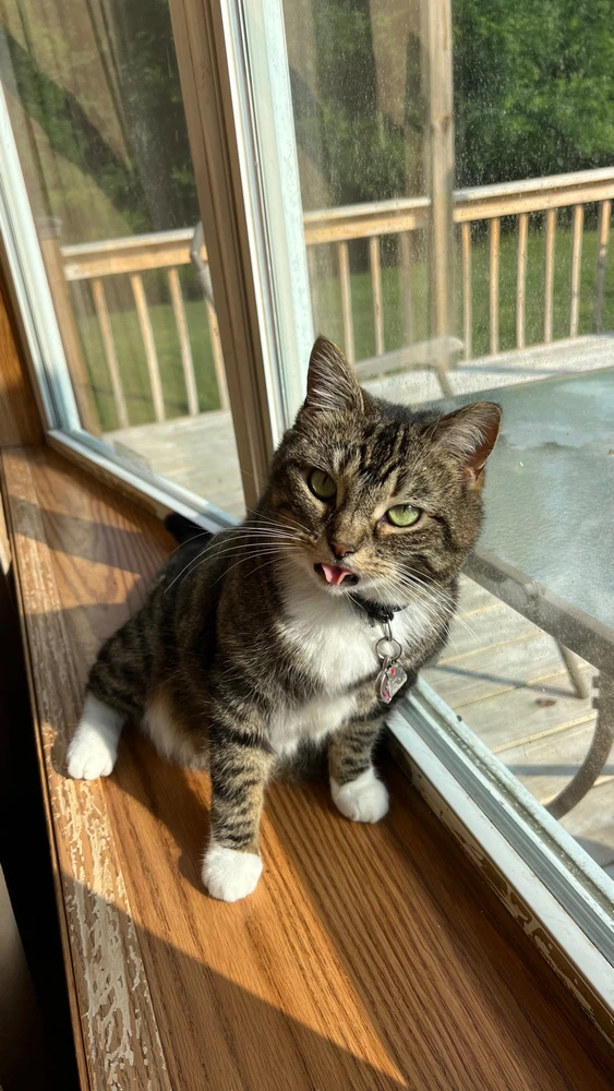 Image uploaded by Kylie