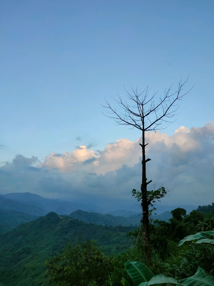 Image uploaded by Jo