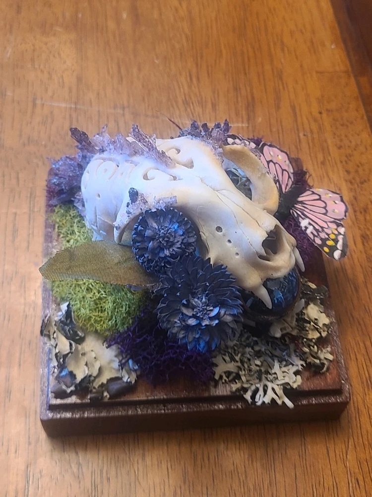 Image uploaded by Moon A Young
