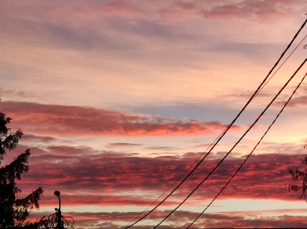 Зображення завантажив Настя