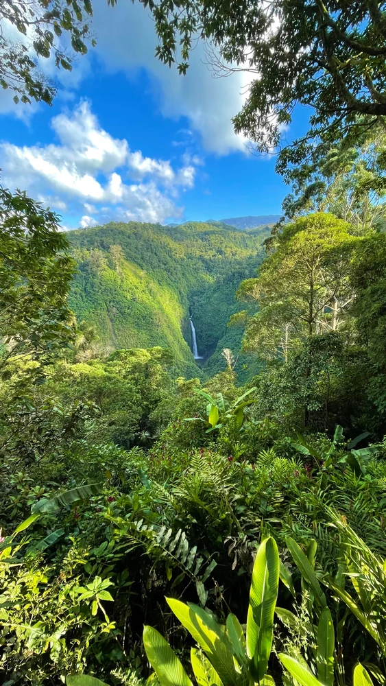 Obrázek nahrál Milan