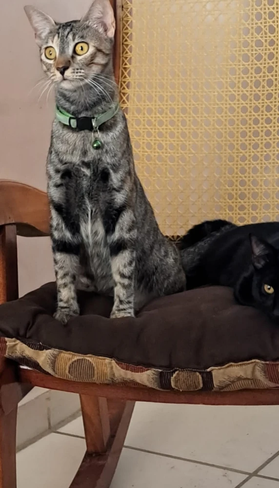 Imagen subida por Marilú