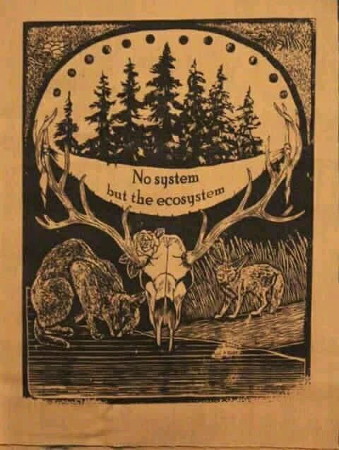 Image uploaded by Carol