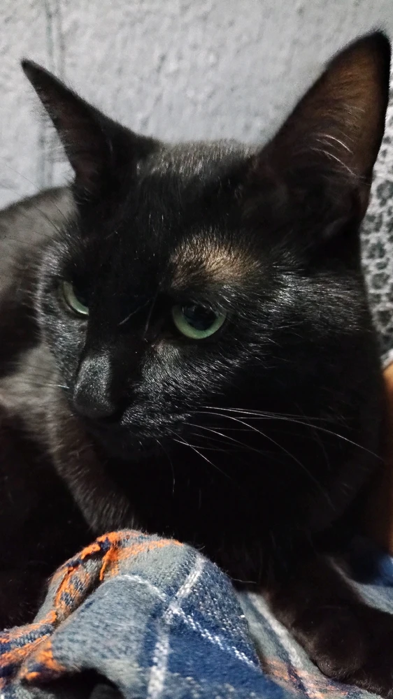 Imagen subida por Diego