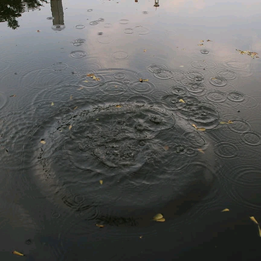 Gambar diunggah oleh Kevin Theo