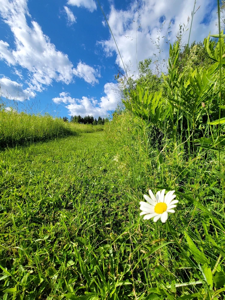 Beautiful Vermont nature