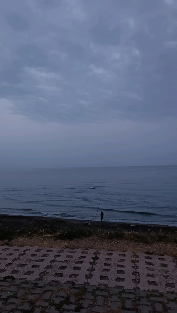 Yuki님이 올린 사진