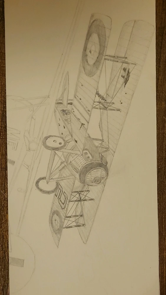 Image uploaded by Ryan