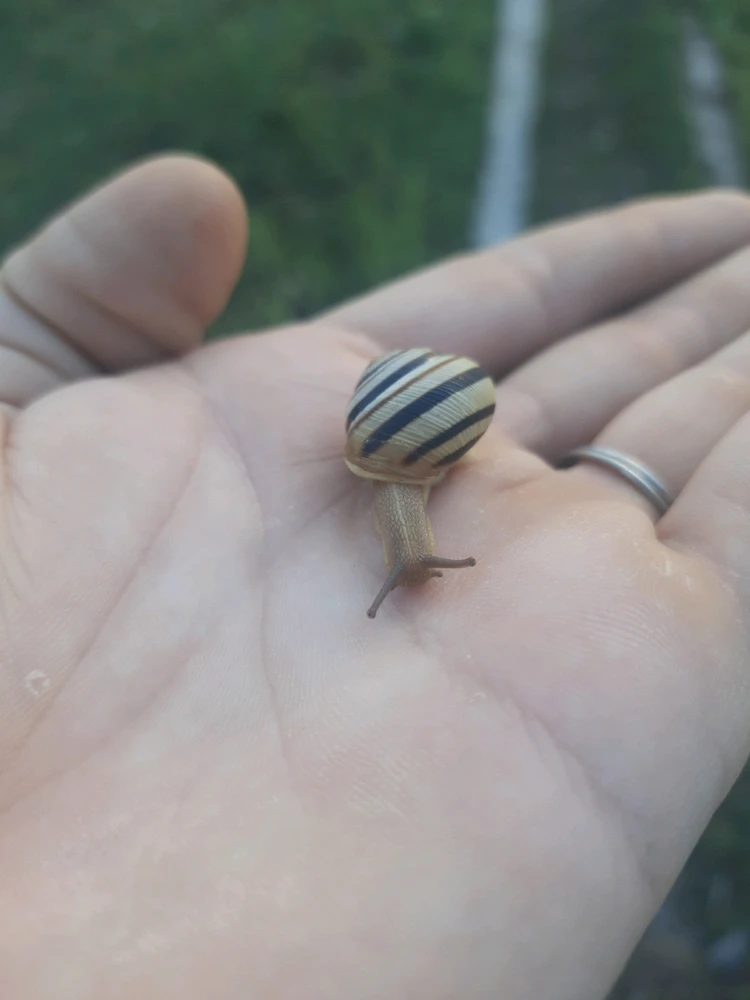 Зображення завантажив Максим