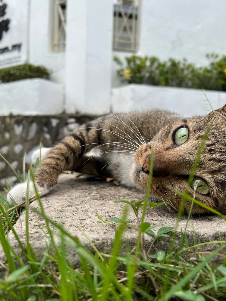 Image uploaded by Clarice