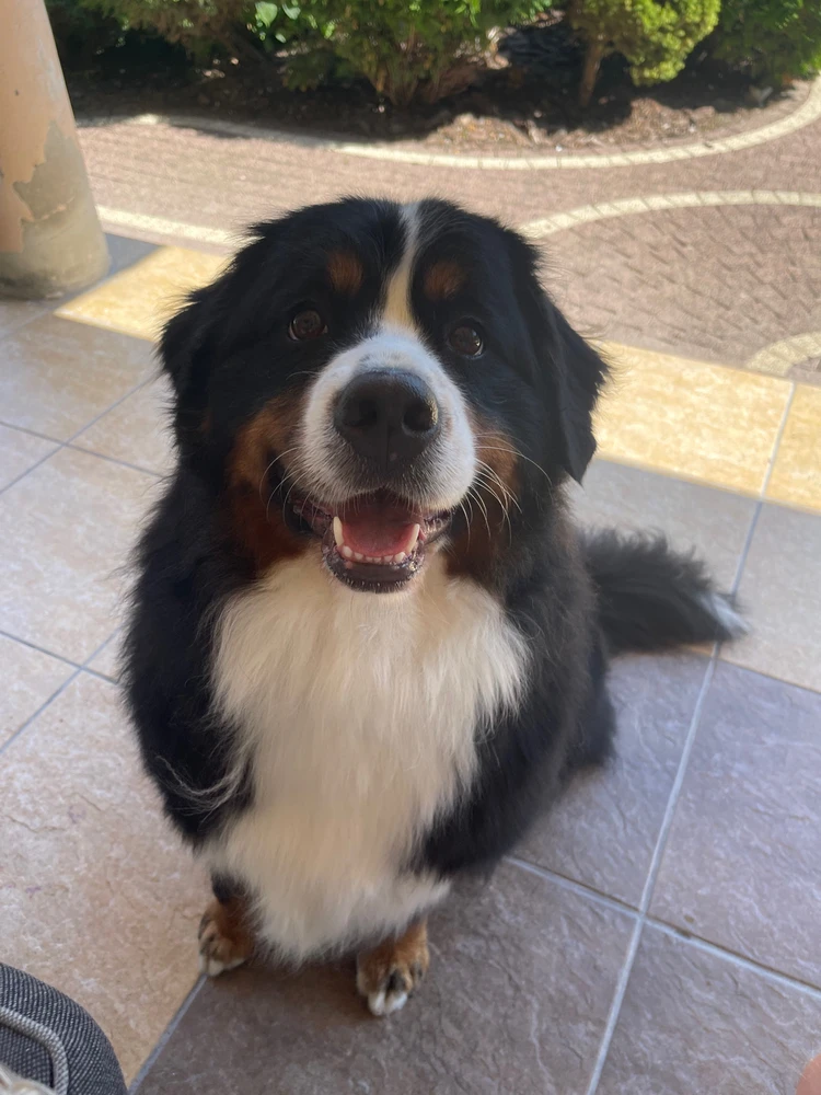 Zdjęcie dodane przez Mikołaj