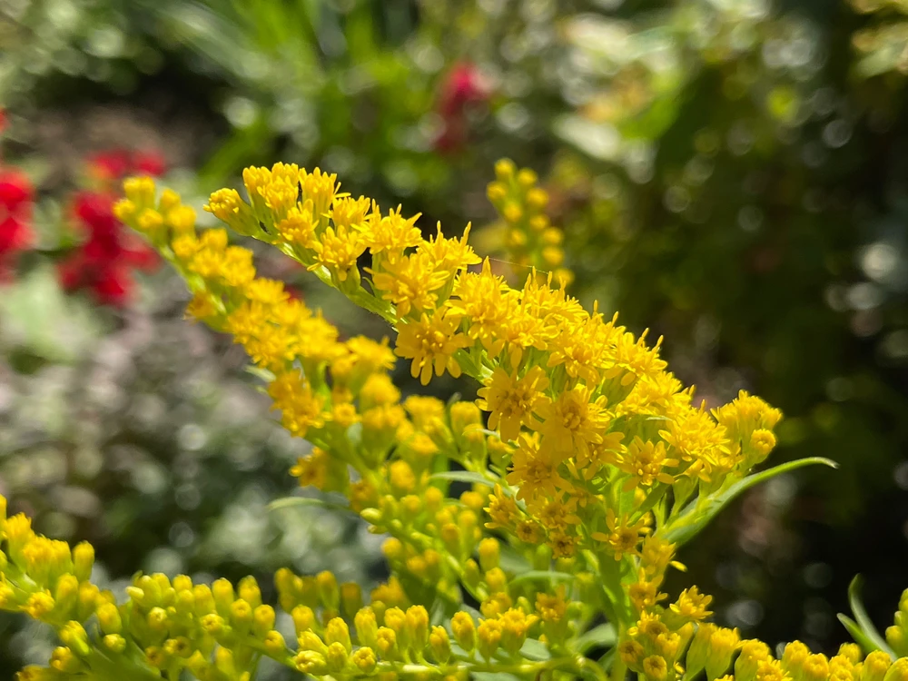 Bild hochgeladen von Andreas