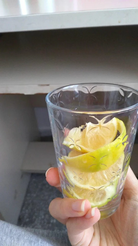 Ece tarafından yüklenen görsel