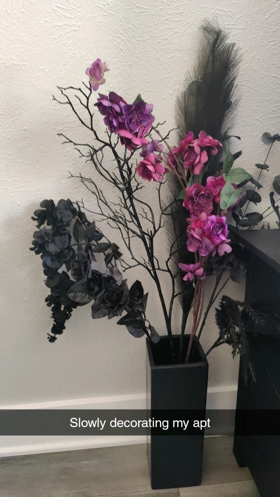 Image uploaded by Abel