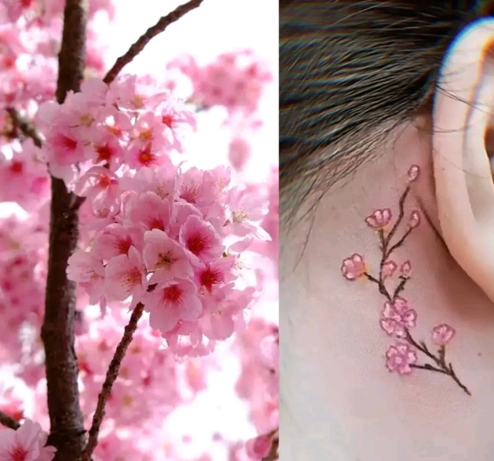 Imagem enviada por Alana