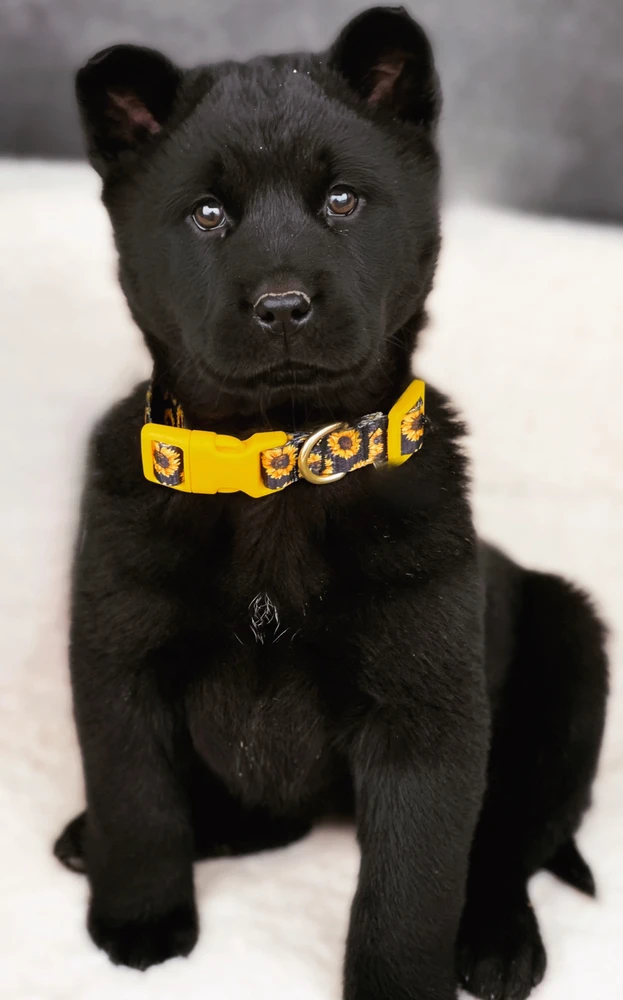 Image uploaded by Kay