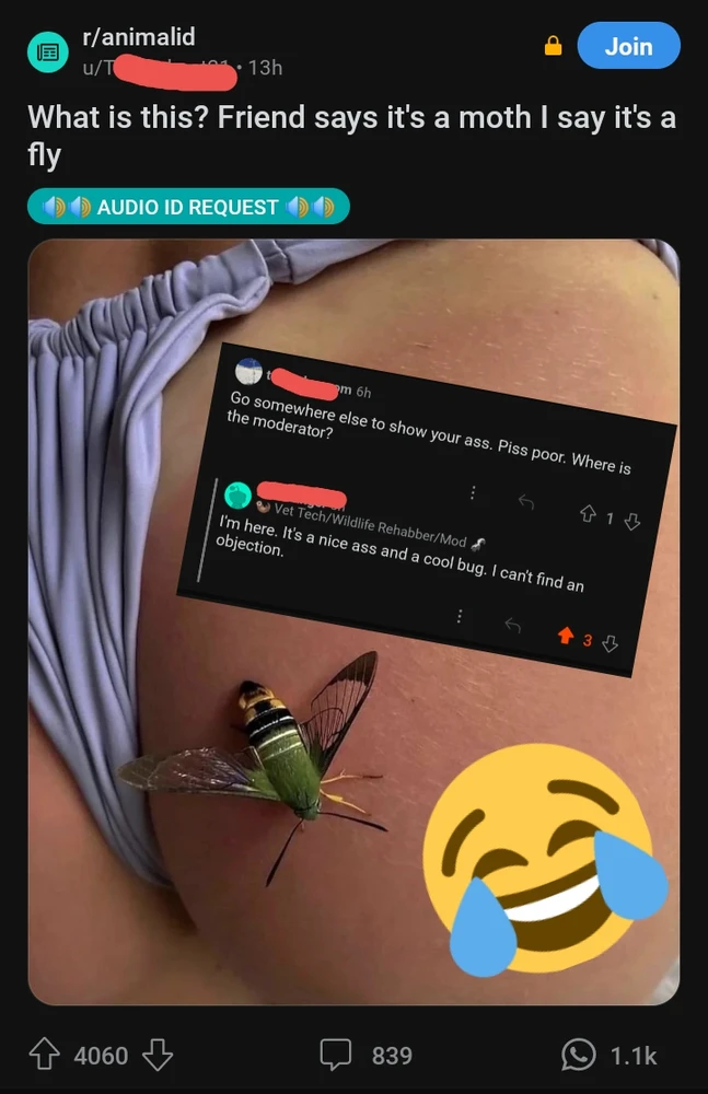 Image uploaded by Jason