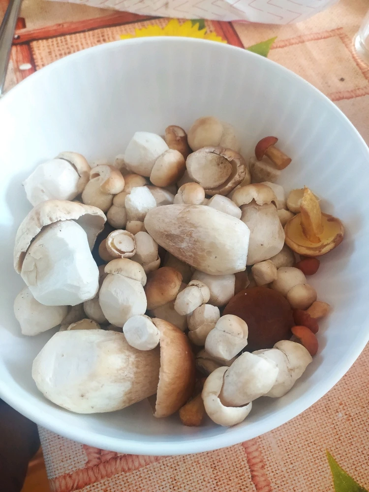 Obrázek nahrál Barbora